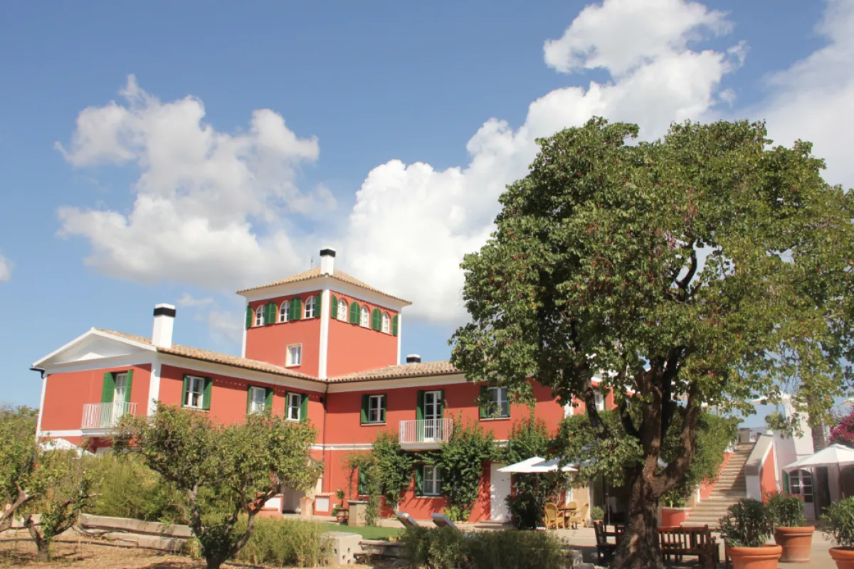 Residencia Los Naranjos Palma