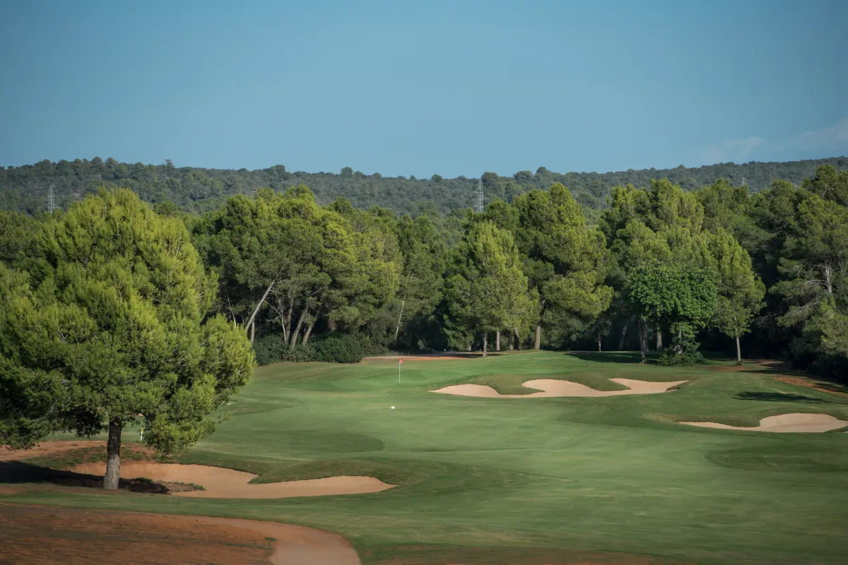 Mallorca Golf Park Puntiro Wald und Fairway