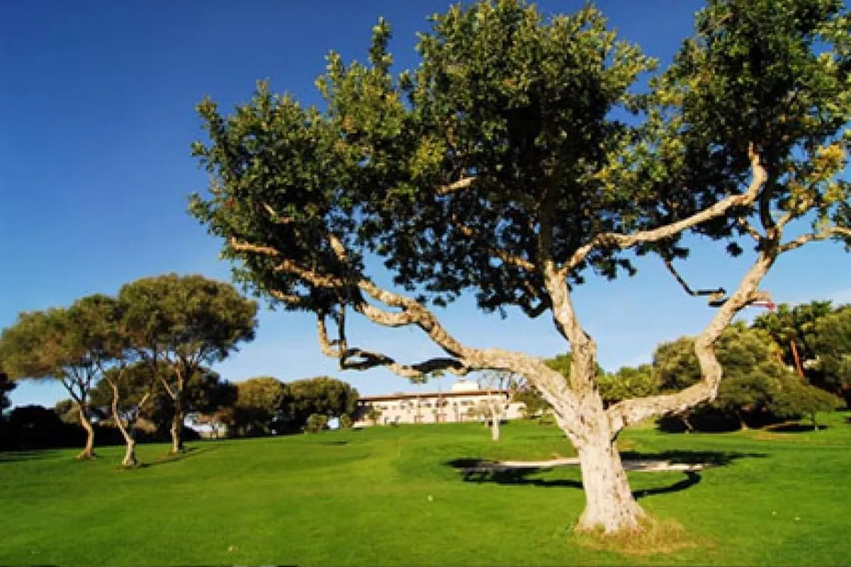 Mallorca Golf Canyamel Clubhaus