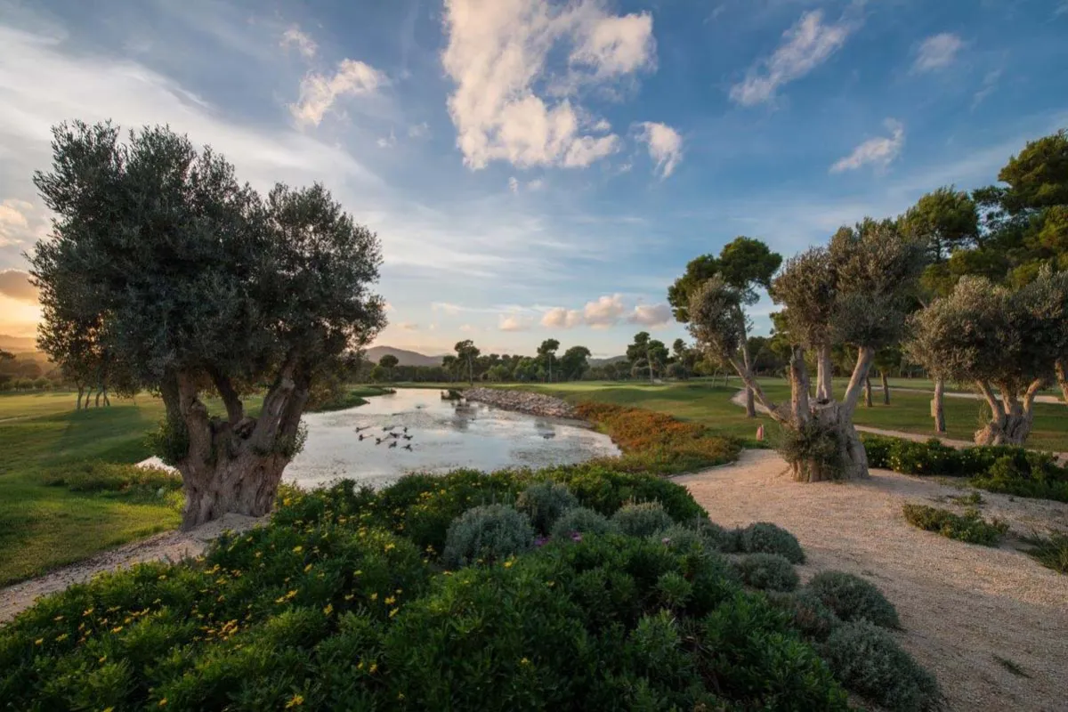 Mallorca Golf Son Servera Die besten Golfplätze Loch 14