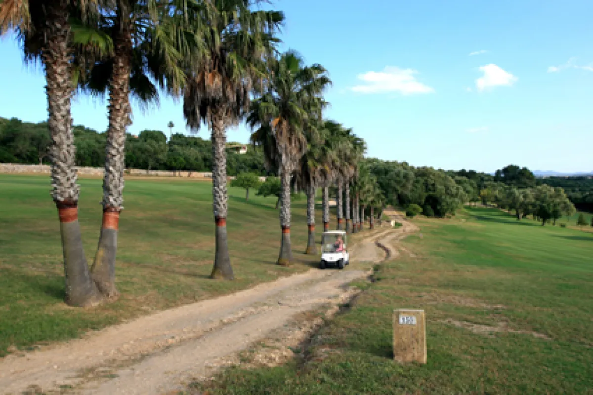 Mallorca Golf La Reserva Rotana bei Manacor Palmenweg