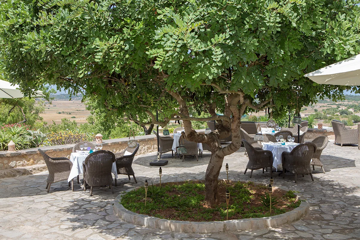 Mallorca-Hotel-Maria-de-Salud-Font-y-Roig-Terrasse