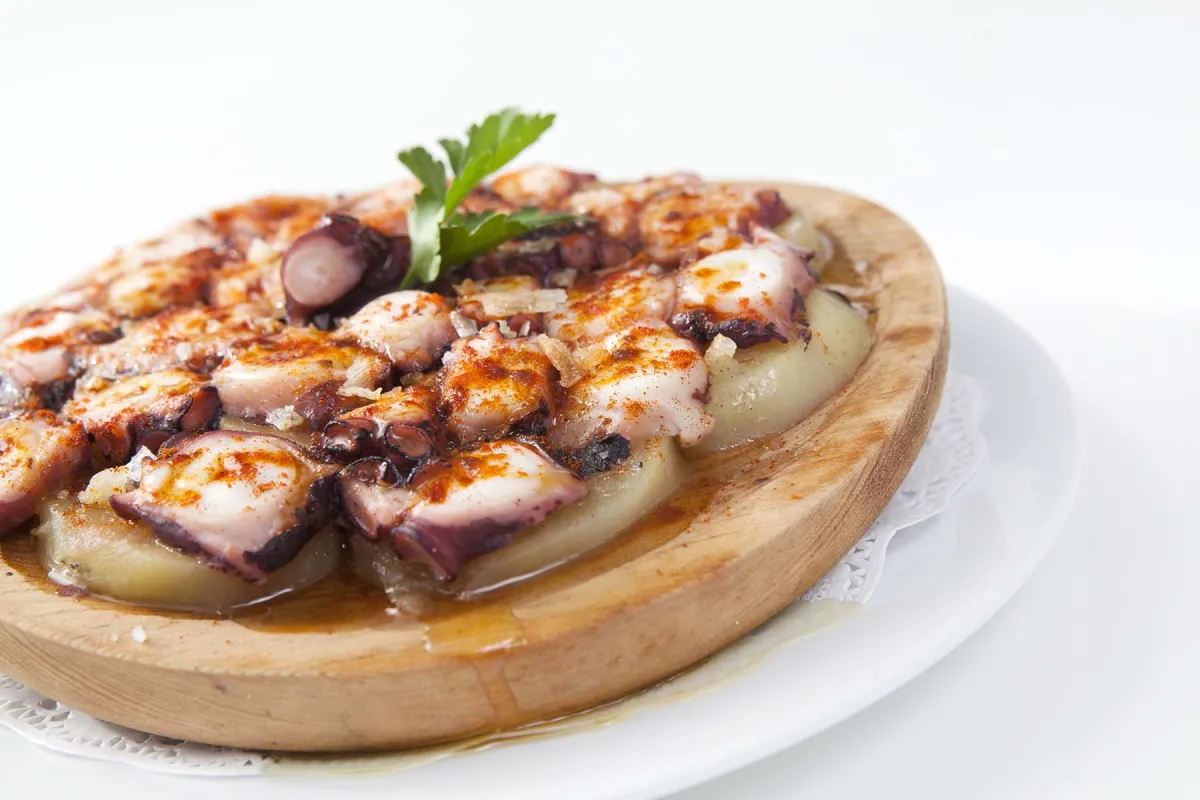 Mallorca Restaurants Palma Can Eduardo Fischrestaurant Calamar