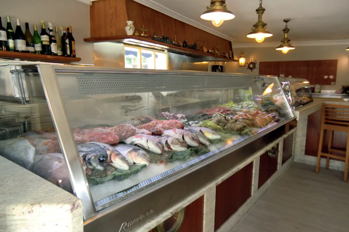 Mallorca Restaurants Palma Fischrestaurant Casa Fernando Tresen