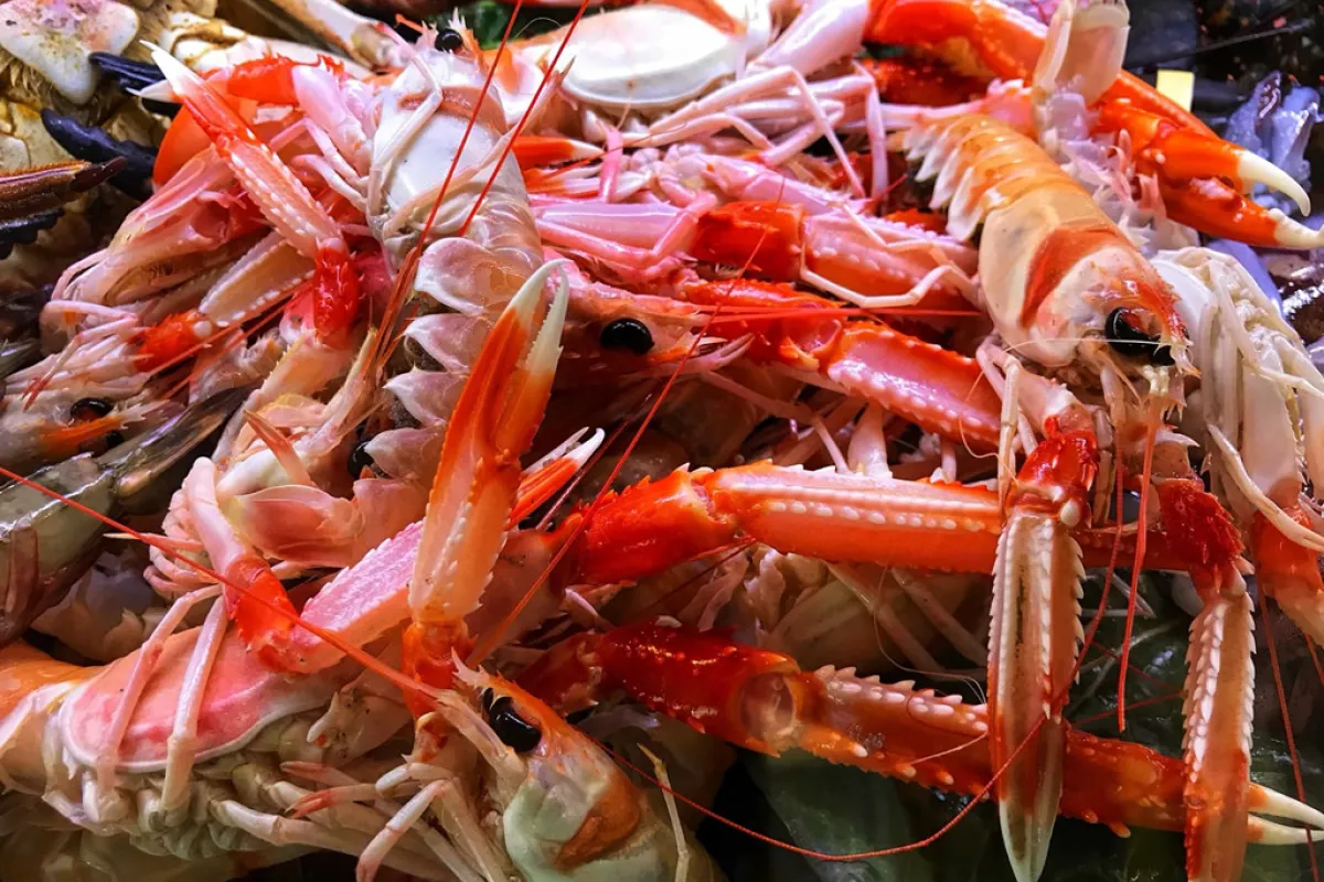 Mallorca Restaurants Palma Fischrestaurant Casa Fernando Seafood