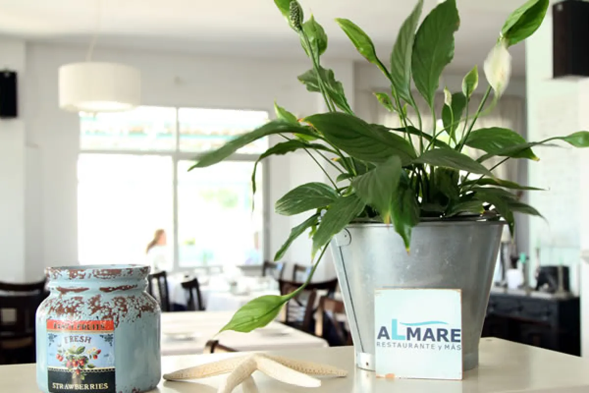Mallorca Restaurant Ciutat Jardi Palma Italienisch Almare Empfang