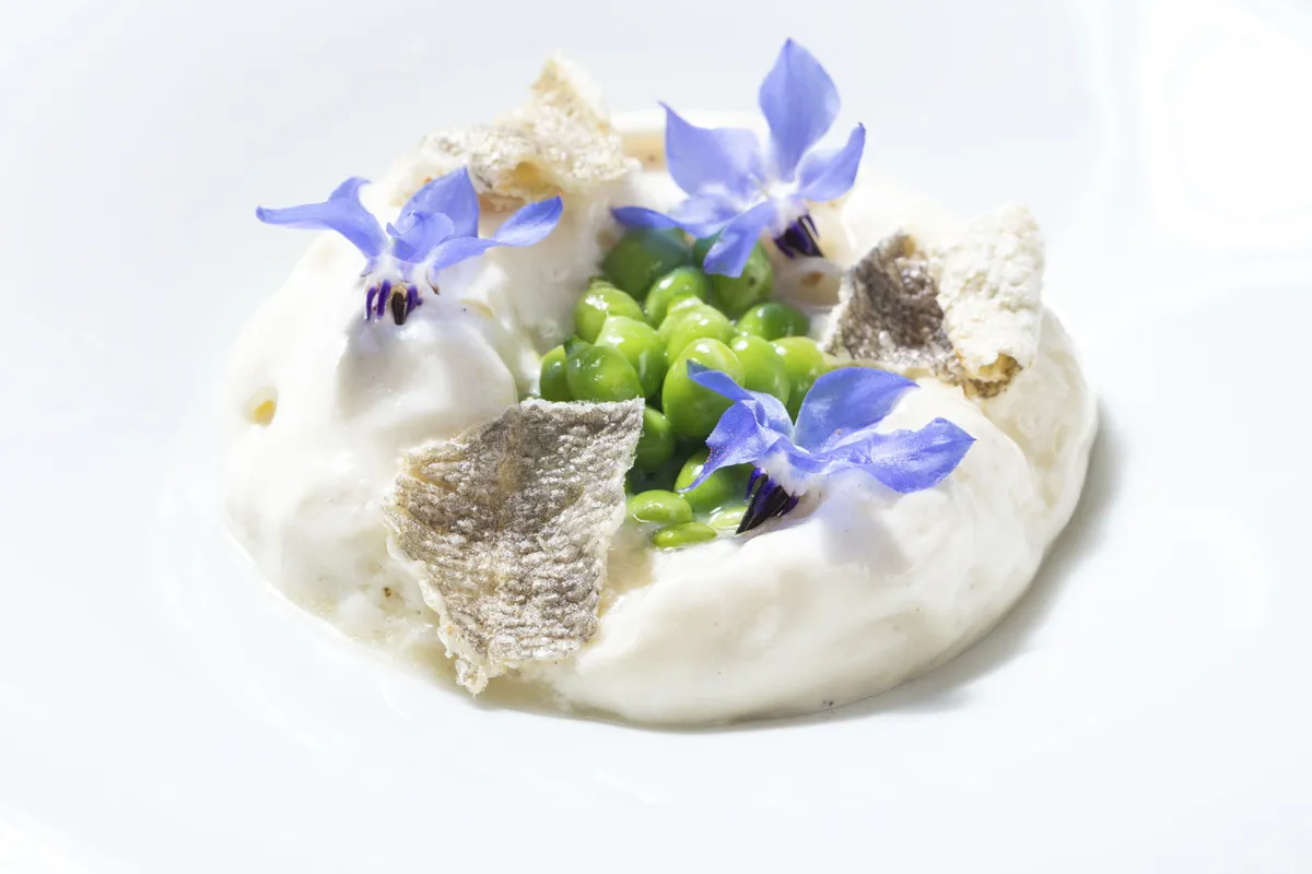 Mallorca Restaurants Canyamel Park Hyatt Hotel Voro Speisen 3