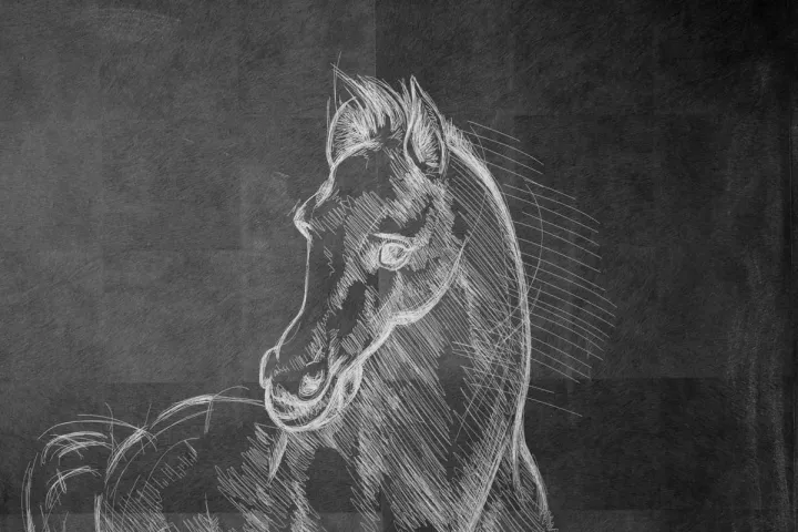 Mallorca Restaurant Palma Altstadt Restaurant Equus Summum Hotel Pferd